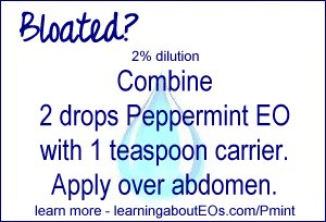 Bloating (2% dilution) – Combine 2 drops Peppermint EO with 1 teaspoon carrier. Apply over abdomen.