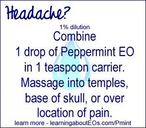 Headache Relief (1% dilution) – Combine 1 drop of Peppermint EO in 1 teaspoon carrier. Massage into temples, base of skull, or over the source of headache.