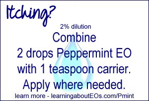 Itching (2% dilution) – Combine 2 drops Peppermint EO with 1 teaspoon carrier and apply where needed.