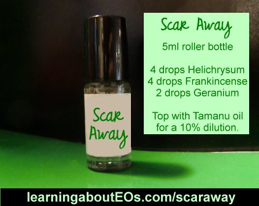 scarawayimg